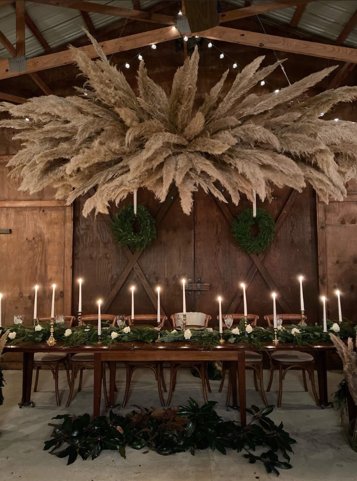 Product Spotlight Pampas Grass